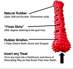 Chewmate Natural Rubber Treatbrush Oral Care Bone Dog Toothbrush, Small slide 2 of 3