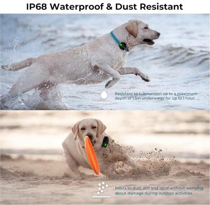 Show full view: DOGNESS Smart Dog GPS Tracker & Activity Monitor, Black slide 8 of 11