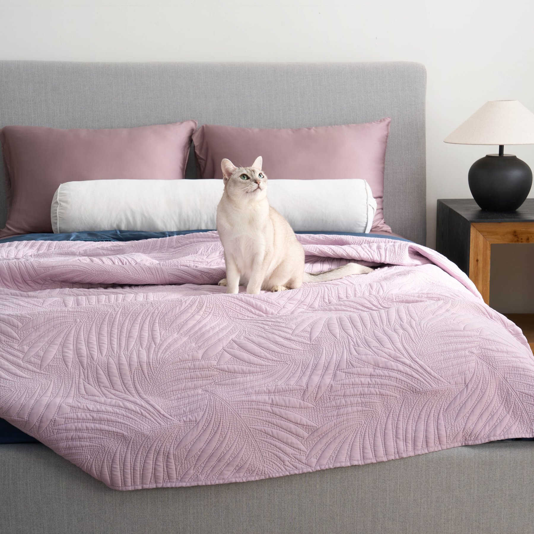 Slashop FURRFREE Quilt Set, Dusky Lavender, Full/Queen