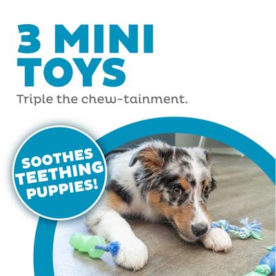 Show full view: Petstages Mini Dentachew Tough Dog Chew Toy, 3 count slide 2 of 10