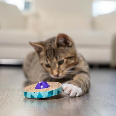 Show full view: Catstages Spin & Scratch Cat Toy, 2 count slide 8 of 12