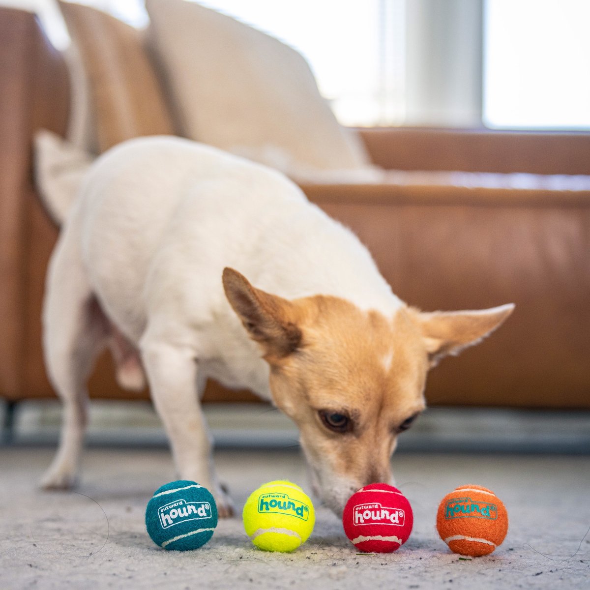 Outward Hound Holiday Ballz Dog Toys