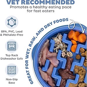 Outward Hound Fun Feeder Slow Feeder Dog Bowl, Blue, 2-cup