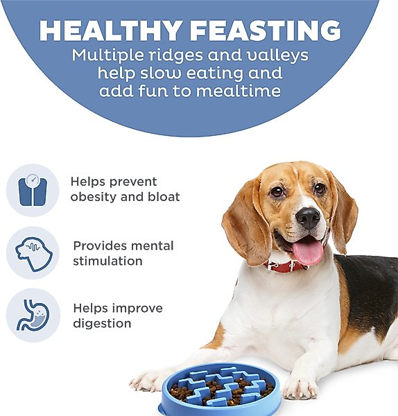 Outward Hound Fun Feeder Slow Feeder Dog Bowl