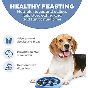 Outward Hound Fun Feeder Slow Feeder Dog Bowl, Blue, 2-cup
