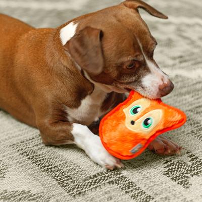 Show full view: Outward Hound Durablez Minis Fox Tough Squeaky Dog Plush Toy, Orange, X-Small slide 5 of 9