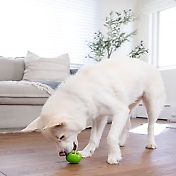 Outward Hound Orbee-Tuff Nooks Treat Dispensing Tough Dog Chew Toy, Peace slide 2 of 9