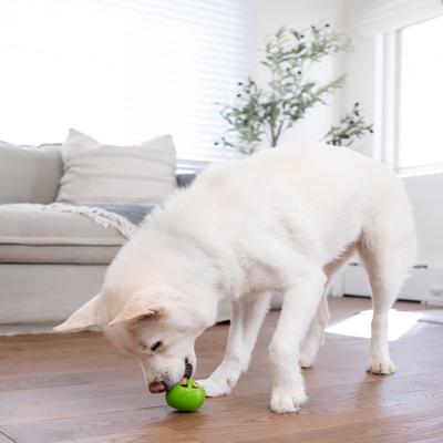 Show full view: Outward Hound Orbee-Tuff Nooks Treat Dispensing Tough Dog Chew Toy, Peace slide 9 of 13