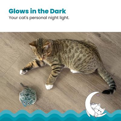 Show full view: Catstages Nighttime Bug Cat Toy with Catnip slide 4 of 11