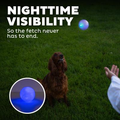 Show full view: Outward Hound Orbee-Tuff LED Strobe Ball Tough Dog Chew Toy, Blue slide 5 of 12