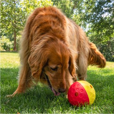 Show full view: Nina Ottosson by Outward Hound Treat Tumble Puzzle Game Dog Toy, Large slide 8 of 10
