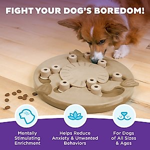 Nina Ottosson by Outward Hound Hide N' Slide Puzzle Game Dog Toy, Medium
