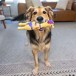 Outward Hound Squawkers Squeaky Latex Dog Toy, Henrietta, Large slide 2 of 7