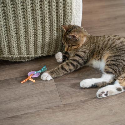 Show full view: Catstages Kitty Chew Wheel Cat Dental Toy with Catnip, Purple slide 7 of 12