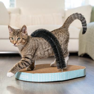 Show full view: Catstages Scratch & Groom Scratch Pad & Grooming Brush Cat Toy slide 8 of 12