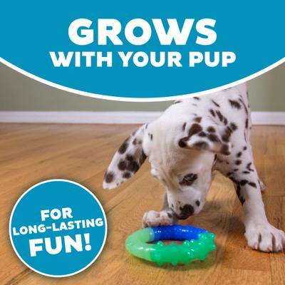 Show full view: Petstages Grow with Me Ring Tough Dog Chew Toy slide 4 of 10