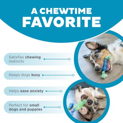 Show full view: Petstages Mini Dentachew Tough Dog Chew Toy, 3 count slide 5 of 10