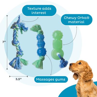 Show full view: Petstages Mini Dentachew Tough Dog Chew Toy, 3 count slide 3 of 10