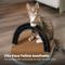 Show in main carousel: Catstages Scratch & Groom Scratch Pad & Grooming Brush Cat Toy slide 7 of 12