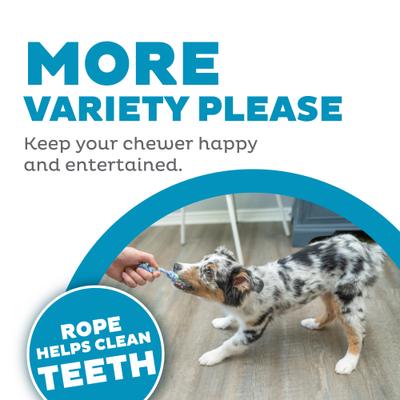 Show full view: Petstages Mini Dentachew Tough Dog Chew Toy, 3 count slide 4 of 10