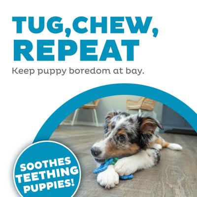 Show full view: Petstages Bone Tug Tough Dog Chew Toy slide 4 of 10