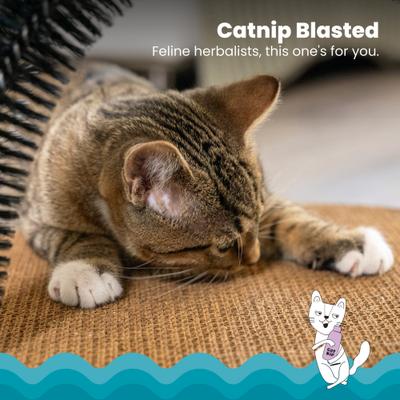 Show full view: Catstages Scratch & Groom Scratch Pad & Grooming Brush Cat Toy slide 4 of 12