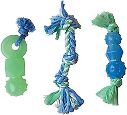 Petstages Mini Dentachew Tough Dog Chew Toy, 3 count