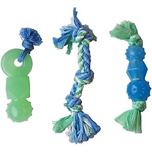 Petstages Mini Dentachew Tough Dog Chew Toy, 3 count