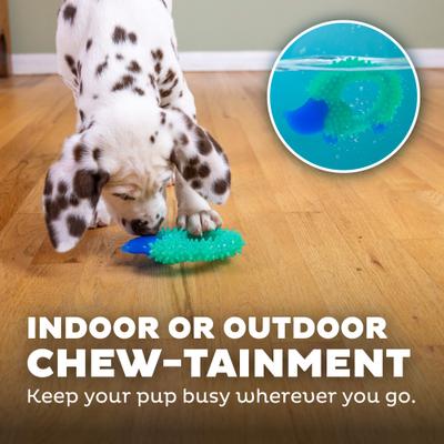 Show full view: Petstages Cutie Chewies Dog Toy slide 5 of 10