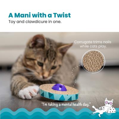 Show full view: Catstages Spin & Scratch Cat Toy, 2 count slide 3 of 12