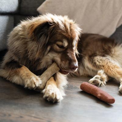 Show full view: Petstages Dogwood BBQ & Natural Flavor Bone Tough Dog Chew Toy, Medium, 2 count slide 7 of 12