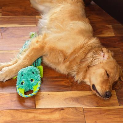 Show full view: Outward Hound Ropiez Dragon Squeaky Plush Dog Toy slide 5 of 6