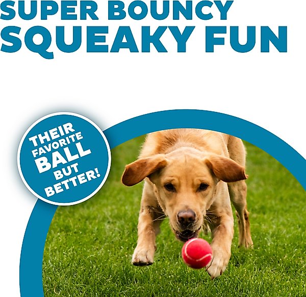 Show full view: Outward Hound Squeaker Ballz Dog Toy, Medium slide 2 of 9