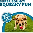 Show in main carousel: Outward Hound Squeaker Ballz Dog Toy, Medium slide 2 of 9