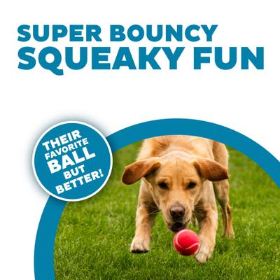 Show full view: Outward Hound Squeaker Ballz Dog Toy, Medium slide 2 of 9