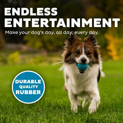 Show full view: Outward Hound Squeaker Ballz Dog Toy, Small slide 4 of 9