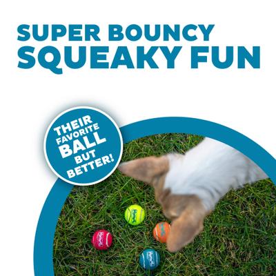 Show full view: Outward Hound Squeaker Ballz Dog Toy, X-Small slide 2 of 9