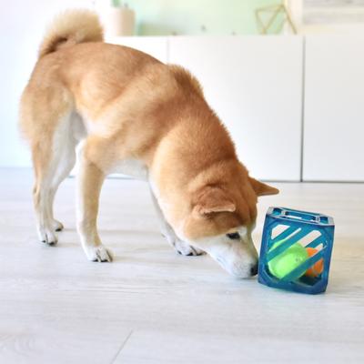 Show full view: Outward Hound Puzzle Cube Interactive Dog Toy slide 5 of 8