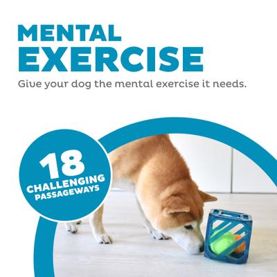 Show full view: Outward Hound Puzzle Cube Interactive Dog Toy slide 2 of 8