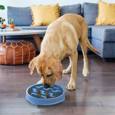 Show full view: Outward Hound Fun Feeder Slow Feeder Dog Bowl, Blue, 4-cup slide 6 of 9