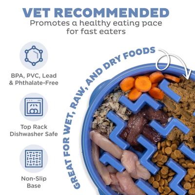 Outward Hound Fun Feeder Slow Feeder Dog Bowl