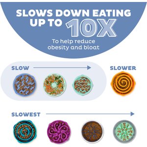 Outward Hound Fun Feeder Slow Feeder Dog Bowl, Blue, 4-cup