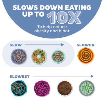 Outward Hound Fun Feeder Slow Feeder Dog Bowl