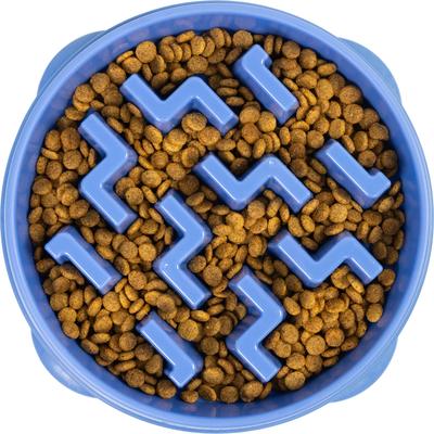 Outward Hound Fun Feeder Slow Feeder Dog Bowl