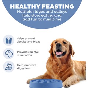 Outward Hound Fun Feeder Slow Feeder Dog Bowl, Blue, 4-cup