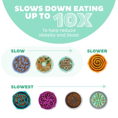 Show full view: Outward Hound Non-Skid Plastic Slow Feeder Dog Bowl, Mint, 0.75-cup slide 4 of 9