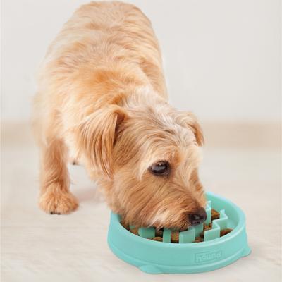 Show full view: Outward Hound Non-Skid Plastic Slow Feeder Dog Bowl, Mint, 0.75-cup slide 6 of 9