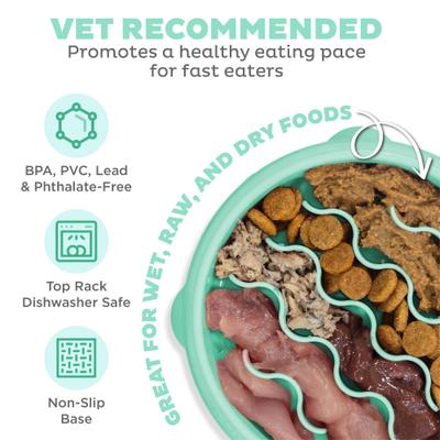 Show full view: Outward Hound Non-Skid Plastic Slow Feeder Dog Bowl, Mint, 0.75-cup slide 3 of 9