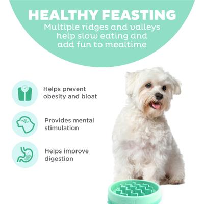 Show full view: Outward Hound Non-Skid Plastic Slow Feeder Dog Bowl, Mint, 0.75-cup slide 2 of 9