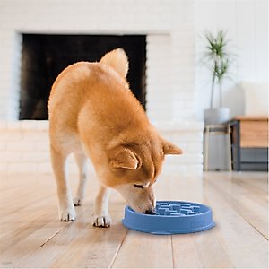Outward Hound Fun Feeder Slow Feeder Dog Bowl, Blue, 2-cup